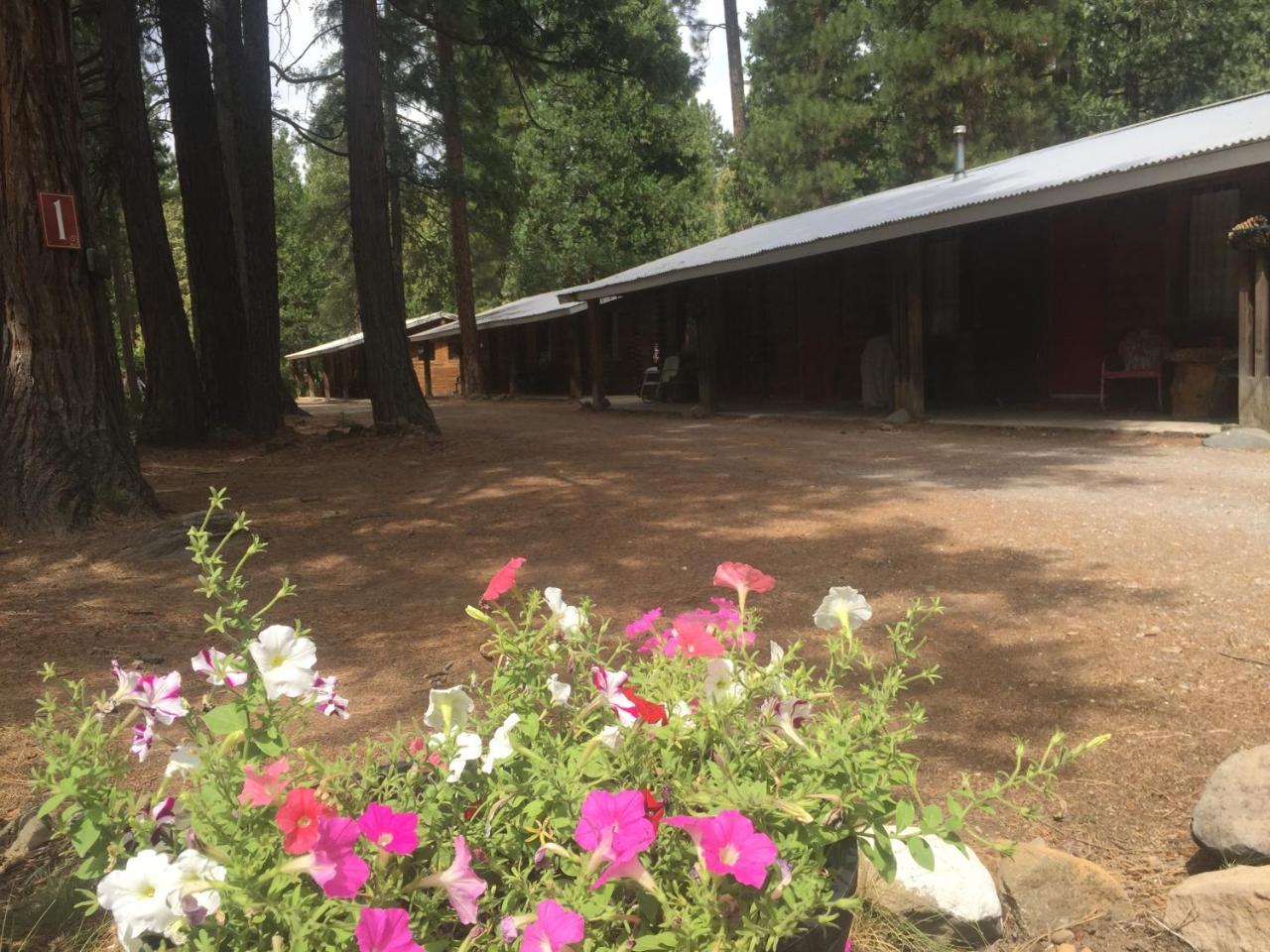 Sierra Sky Lodge Sloat Extérieur photo